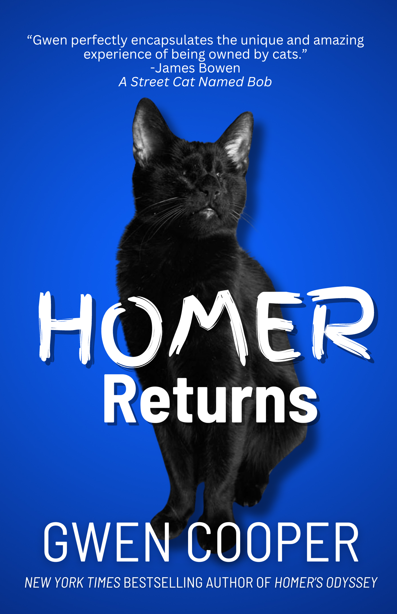 Homer Returns: More True Tales of a Blind Wonder Cat & His Fur Family (paperback)