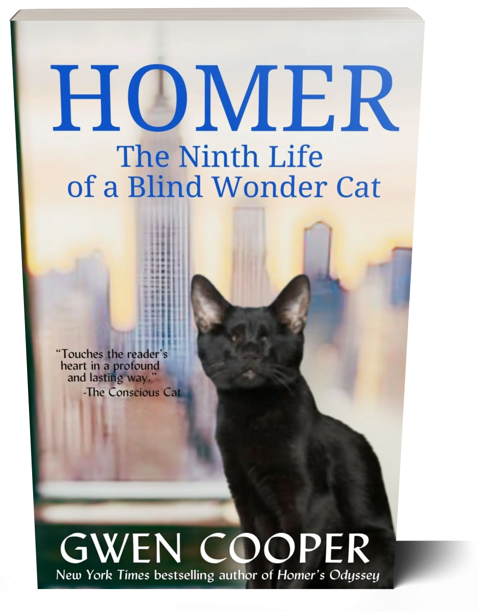 The HOMER Paperback Bundle (paperback)