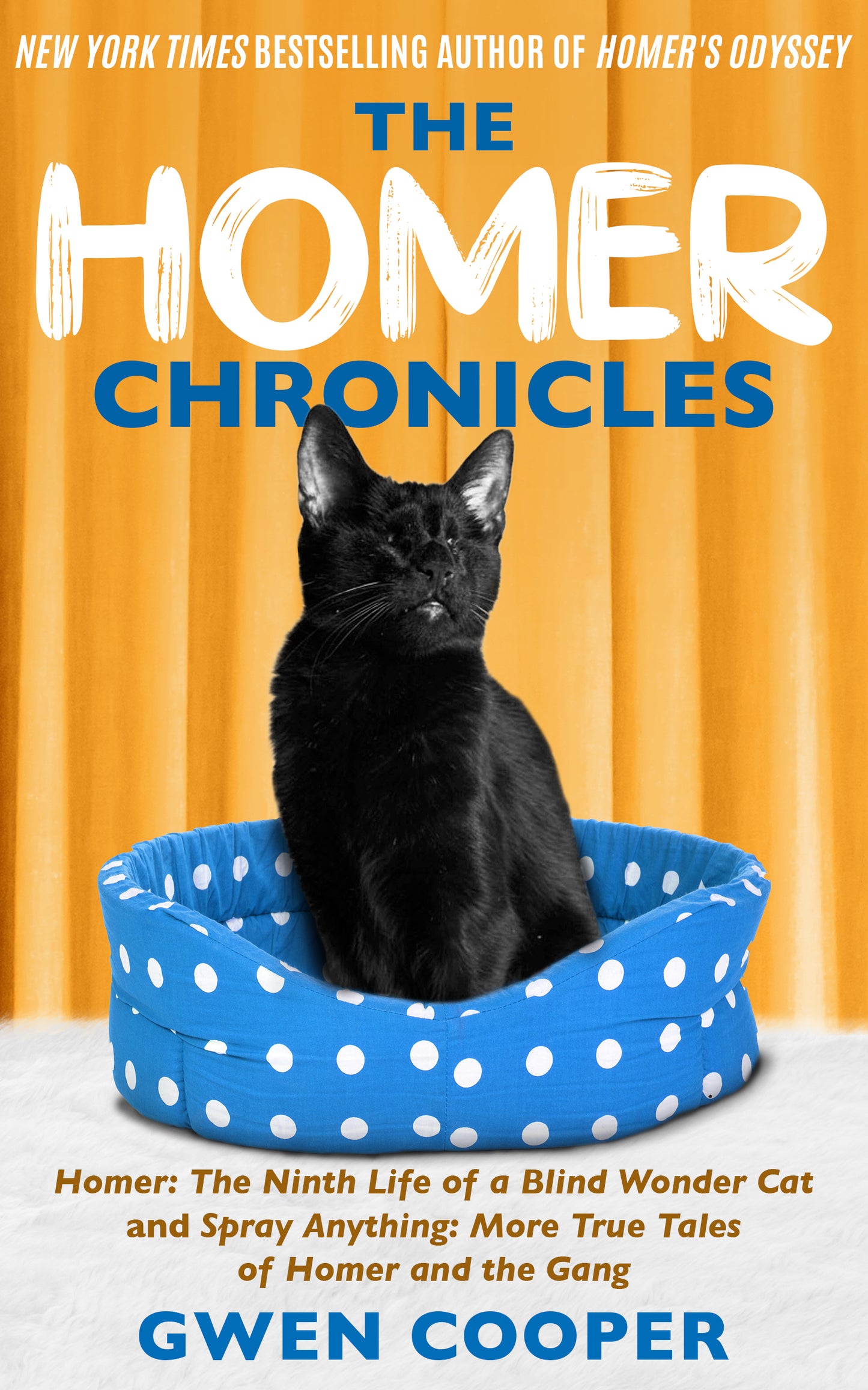 The HOMER Chronicles (ePub)