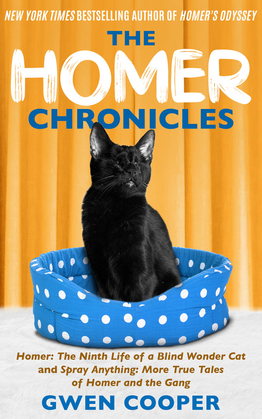 The HOMER Chronicles (ePub)