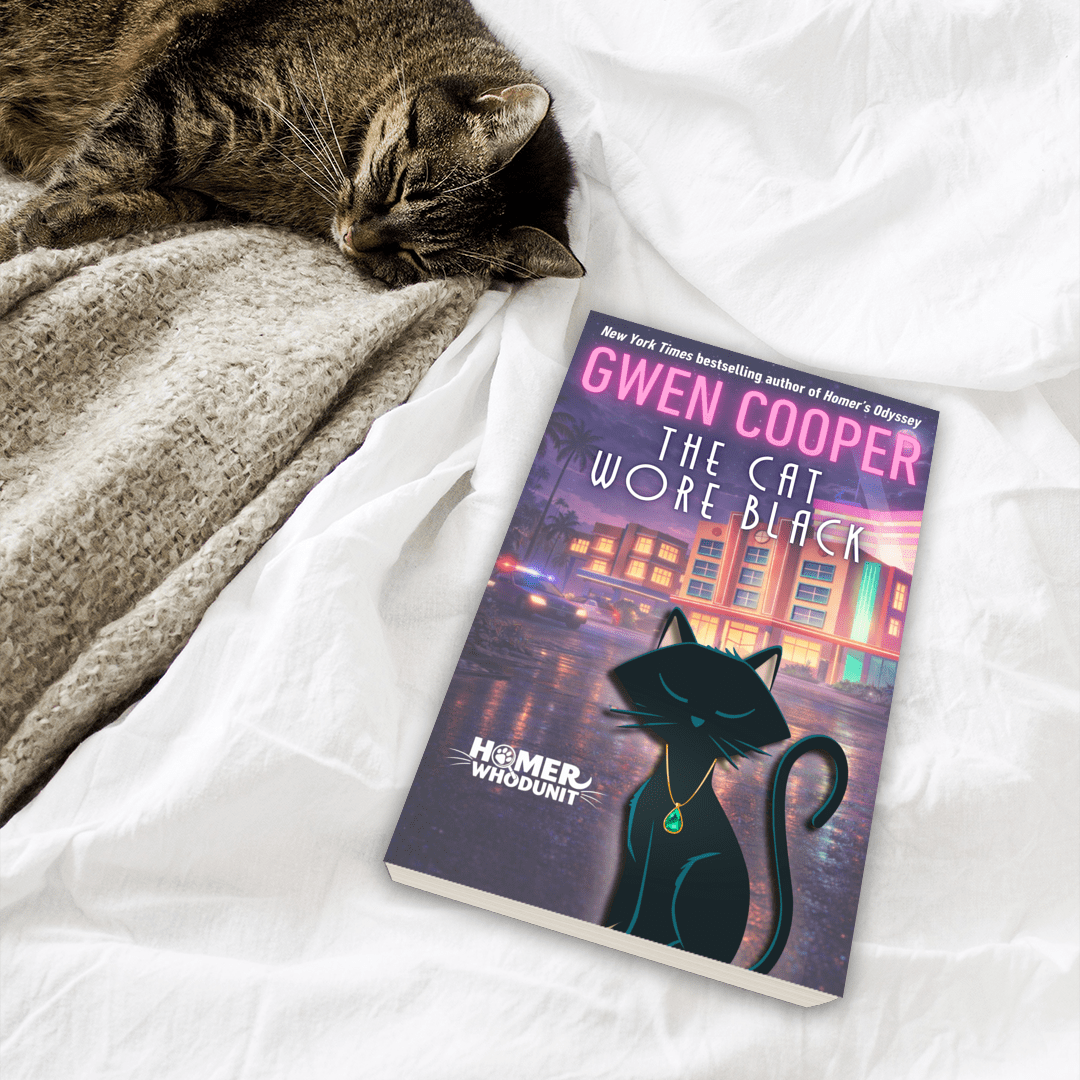THE CAT WORE BLACK - PAPERBACK PRE-ORDER!