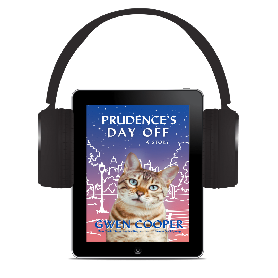 PRUDENCE'S DAY OFF Ebook AND Audiobook Bundle Pre-Order! (a Love Saves the Day story)