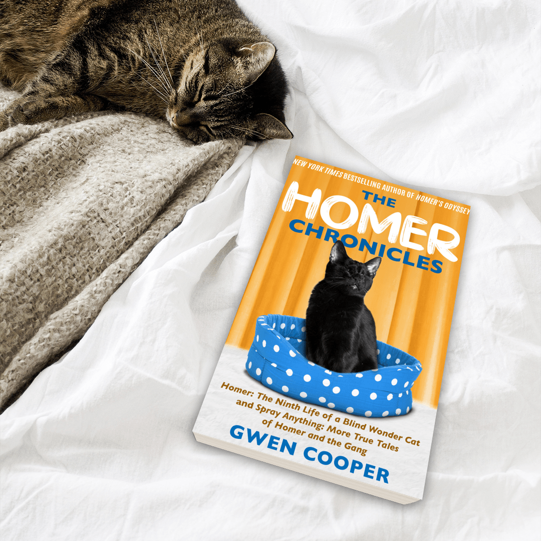The HOMER Chronicles (Homer Books #2 and #3)