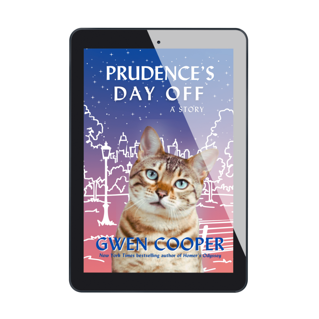 PRUDENCE'S DAY OFF Ebook AND Audiobook Bundle Pre-Order! (a Love Saves the Day story)