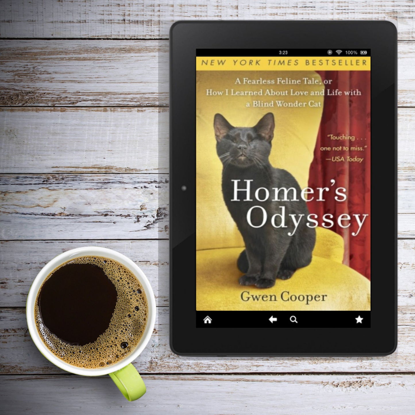 Homer's Odyssey: A Fearless Feline Tale, or How I Learned About Love and Life with a Blind Wonder Cat (ePub)