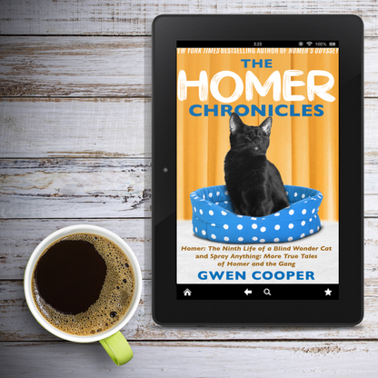 The HOMER Chronicles (ePub)