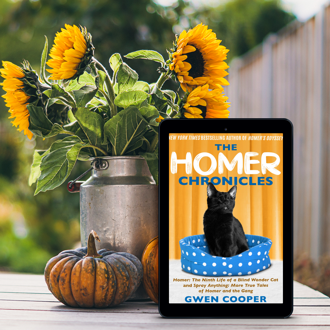 The HOMER Chronicles (Homer Books #2 and #3)