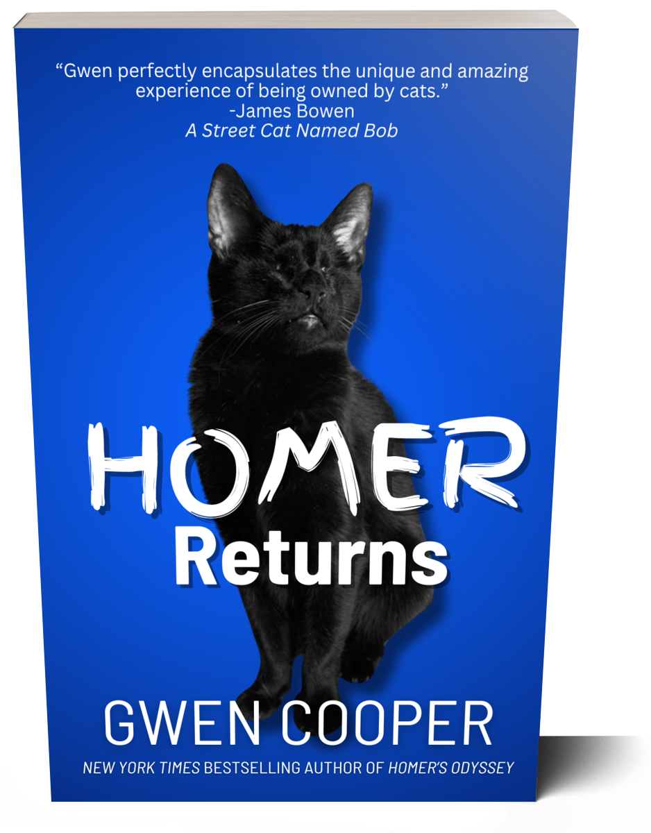 The HOMER Paperback Bundle (paperback)