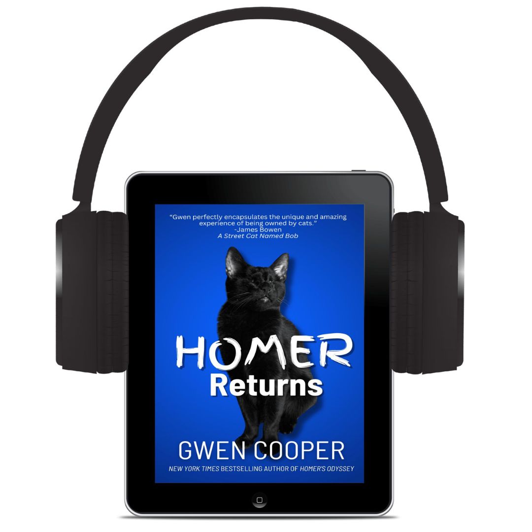 The Homer 3-Book Audio Bundle (Homer Books #2 thru #4)