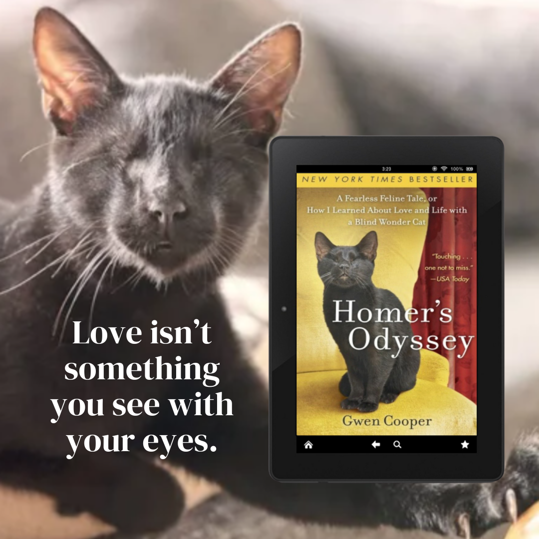 The COMPLETE Cat Lover's Bundle (ebooks)