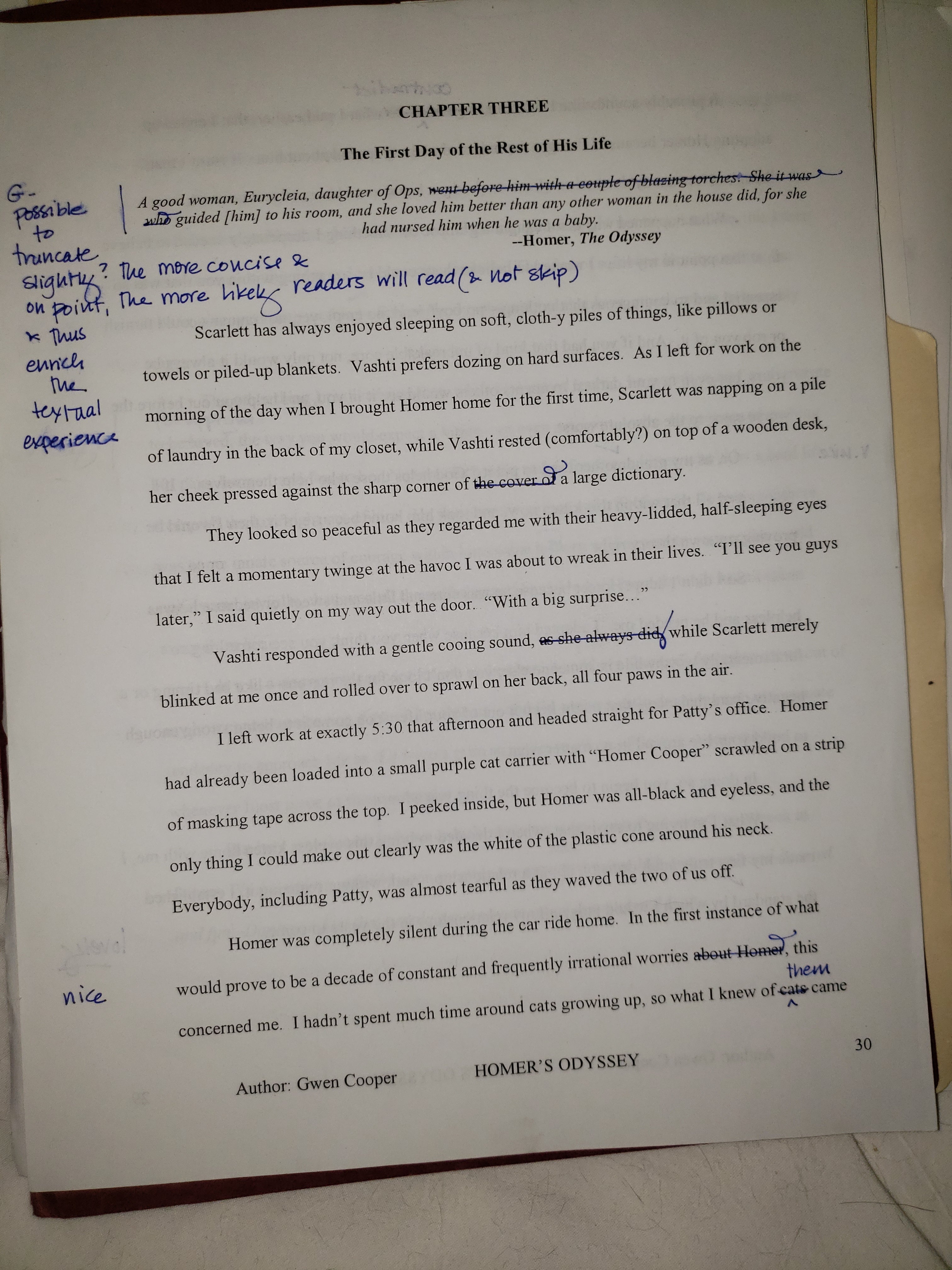 Homer's Odyssey: Limited Edition First Draft Facsimile with Editorial Notes (only 15 available!)