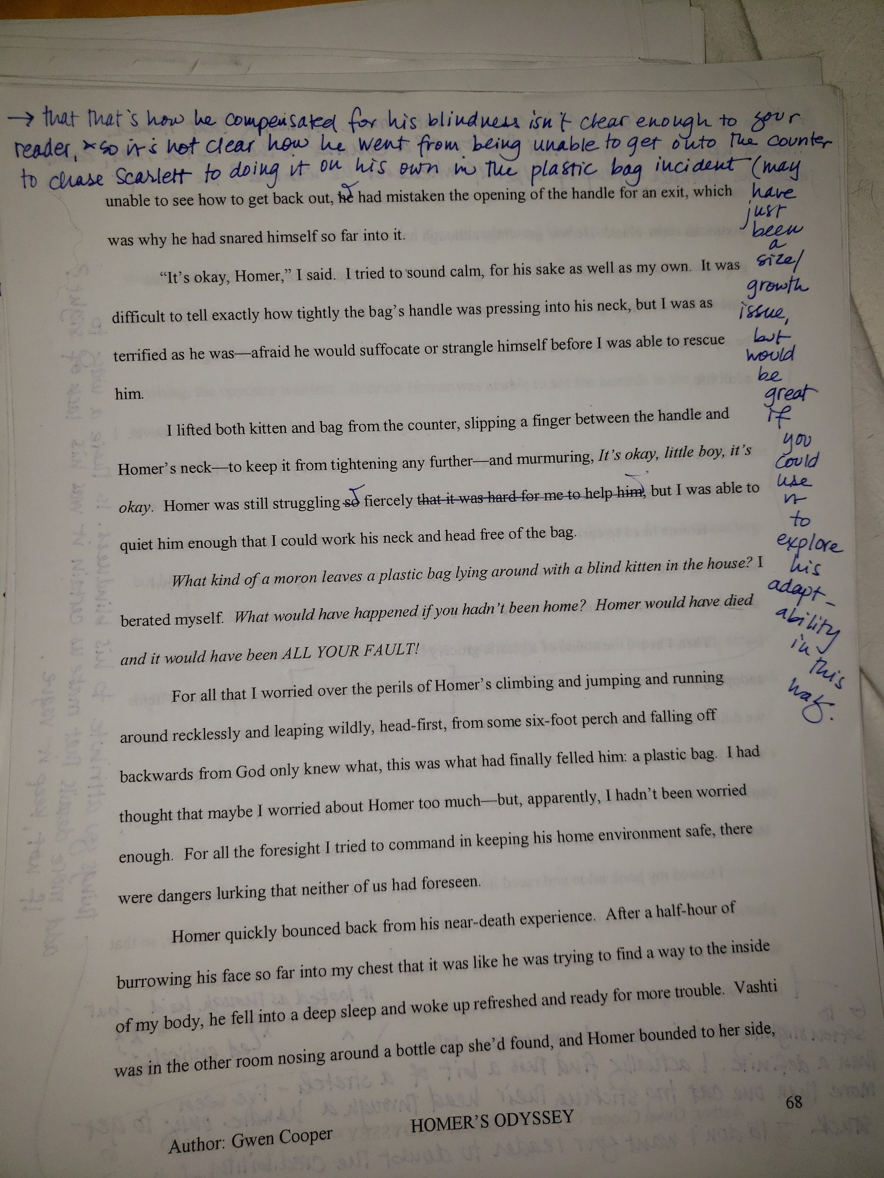 Homer's Odyssey: Limited Edition First Draft Facsimile with Editorial Notes (only 15 available!)