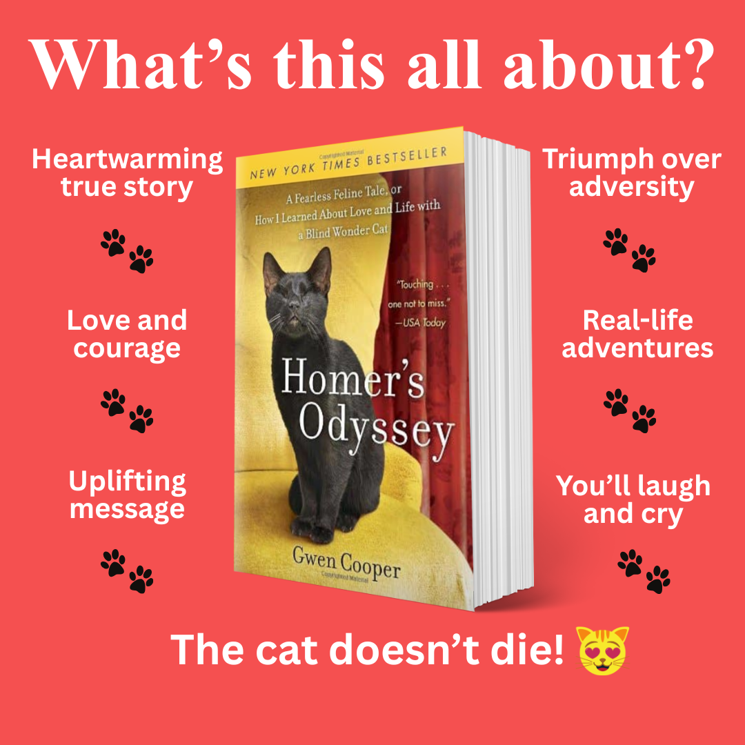 The HOMER Paperback Bundle (All 4 Homer Books)