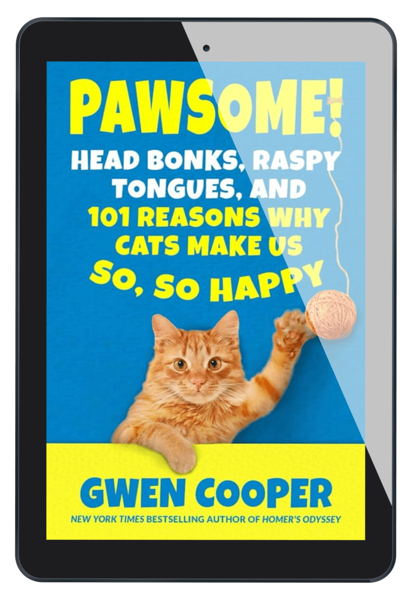 A Day Without Cats and PAWSOME! Tee and E-Book Bundle
