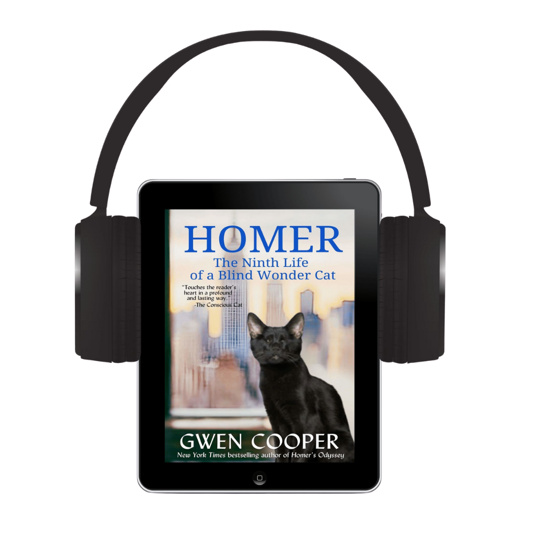 The Homer 3-Book Audio Bundle (Homer Books #2 thru #4)