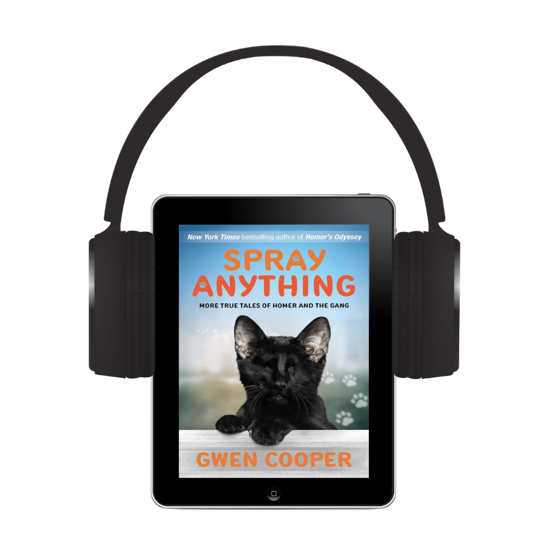 The Homer Chronicles Audio Bundle (Homer Books #2 and #3)