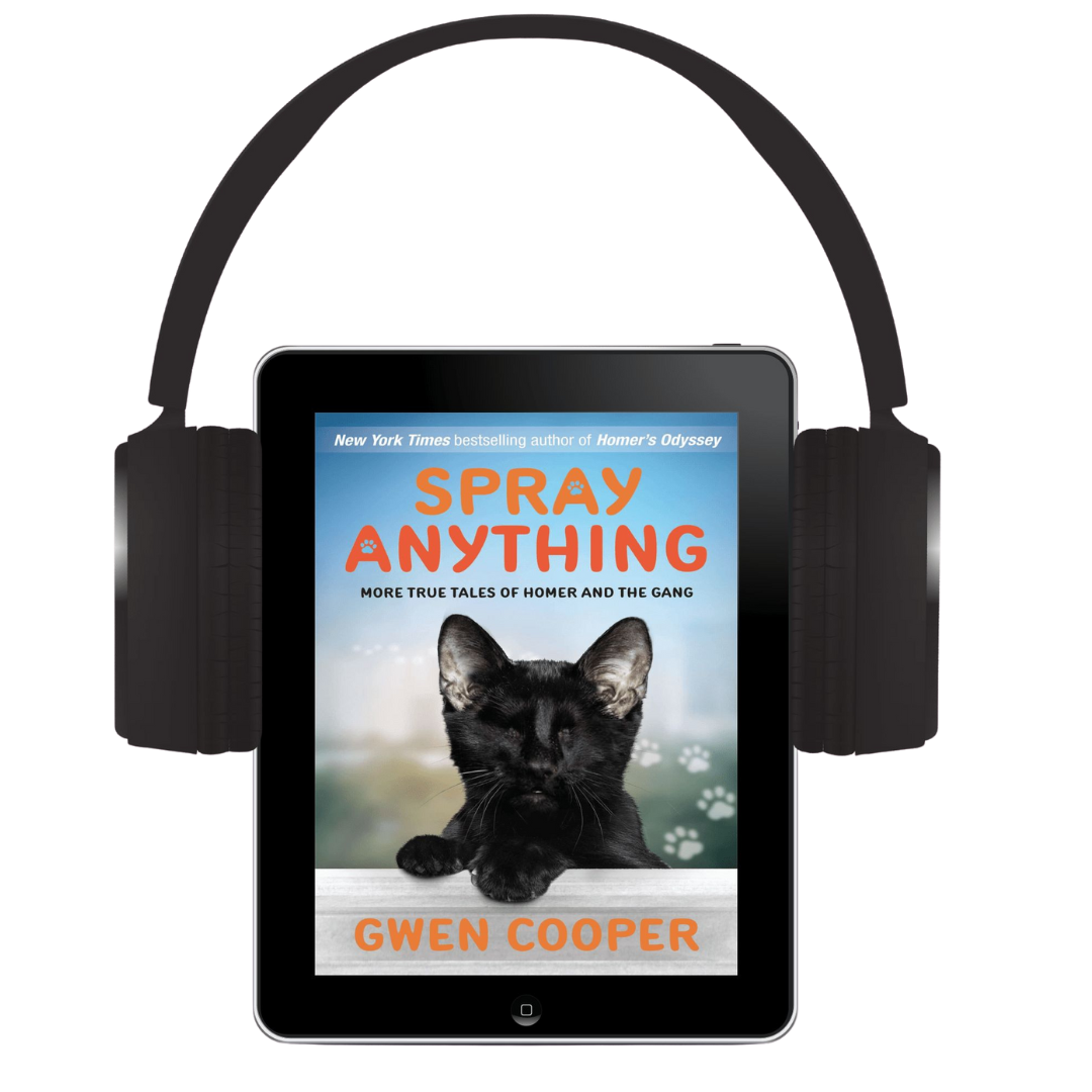 The Homer Audio Bundle (Homer Books #1 thru #4)