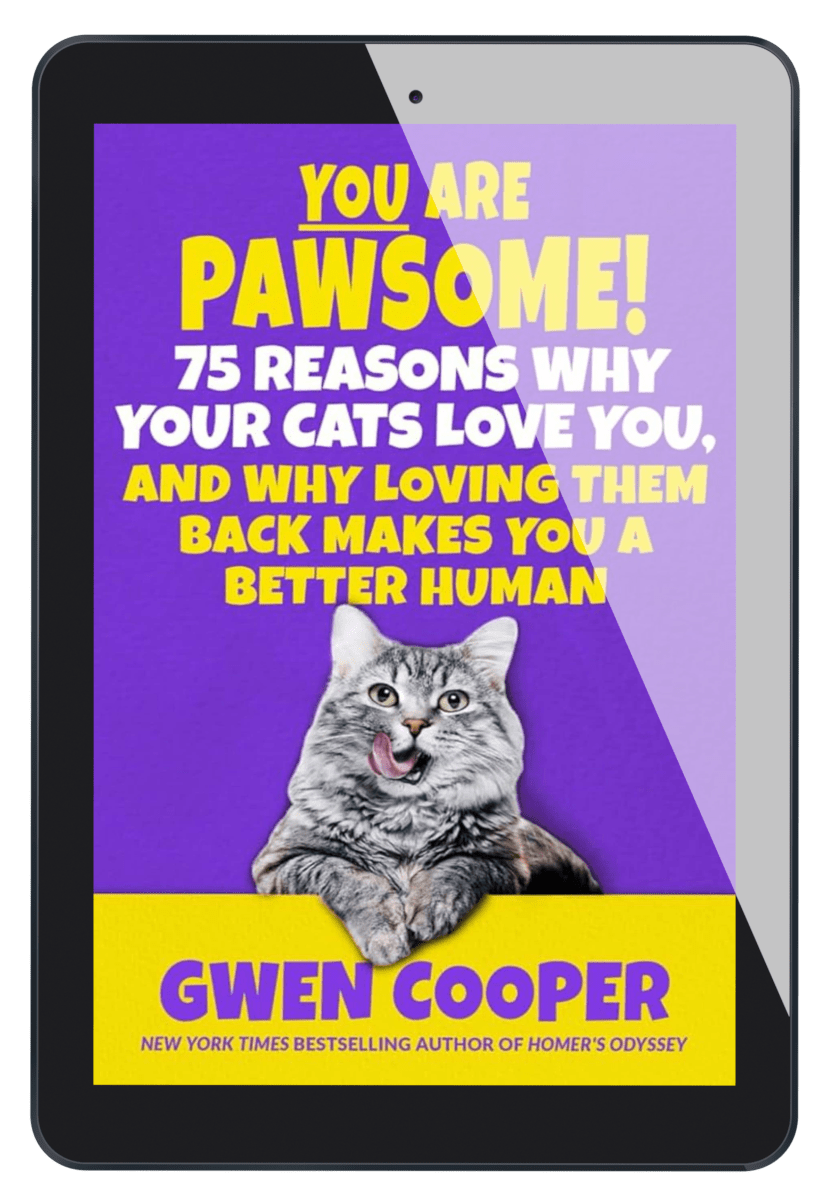 YOU are PAWSOME! 75 Reasons Why Your Cats Love You, and Why Loving Them Back Makes You a Better Human (ePub)