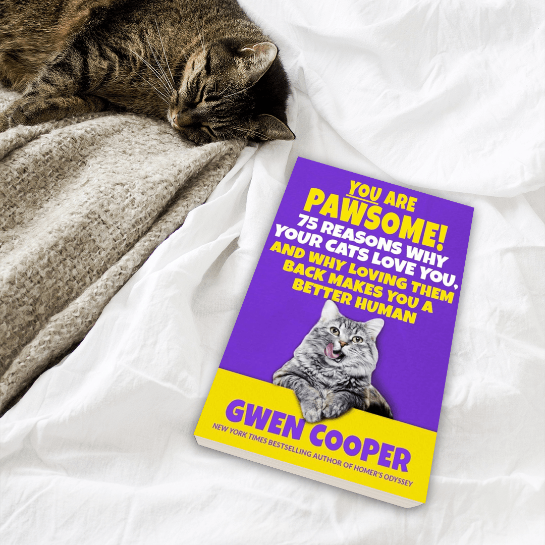 YOU are PAWSOME! 75 Reasons Why Your Cats Love You, and Why Loving Them Back Makes You a Better Human (Paperback)
