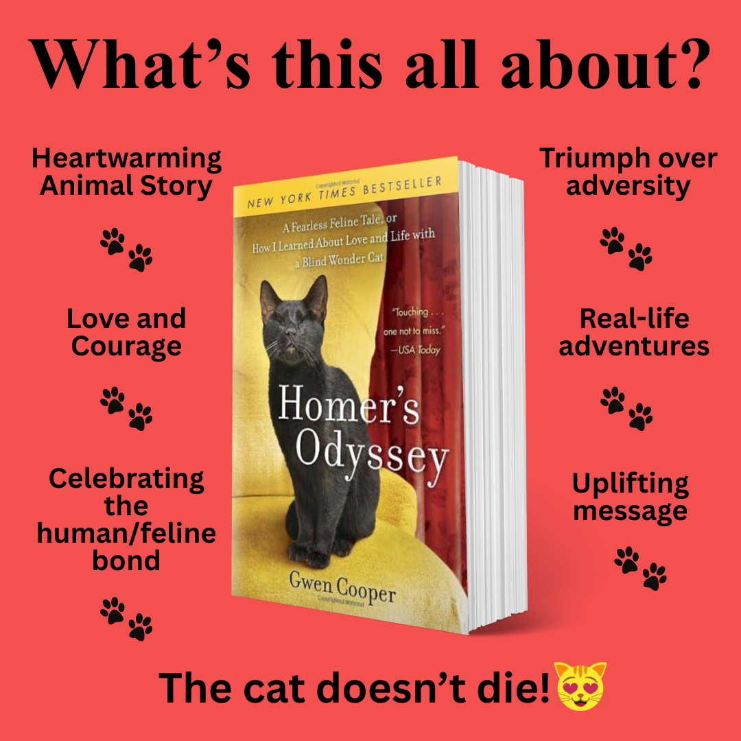 The HOMER Paperback Bundle (All 4 Homer Books)