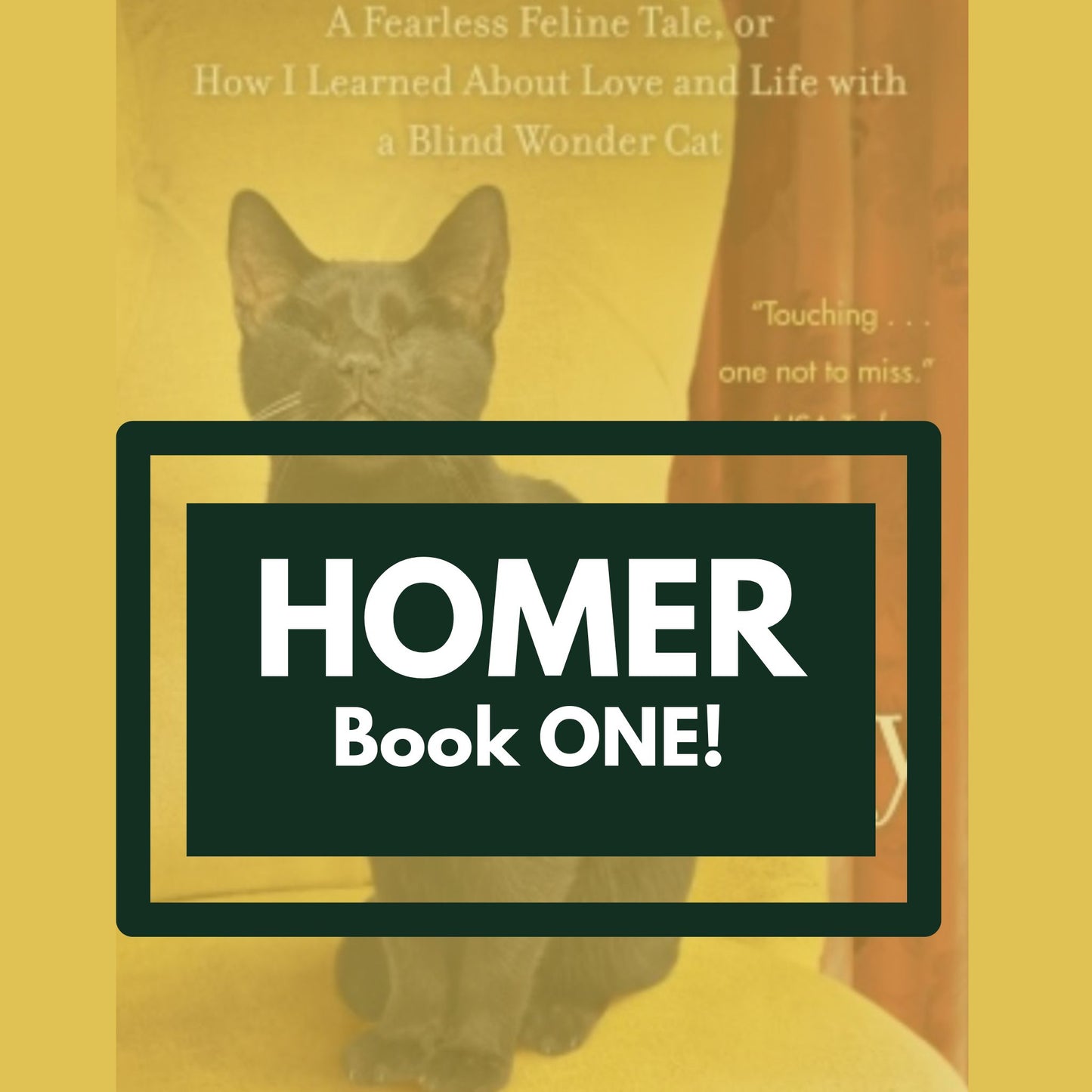 Homer's Odyssey: A Fearless Feline Tale, or How I Learned About Love and Life with a Blind Wonder Cat (ePub)