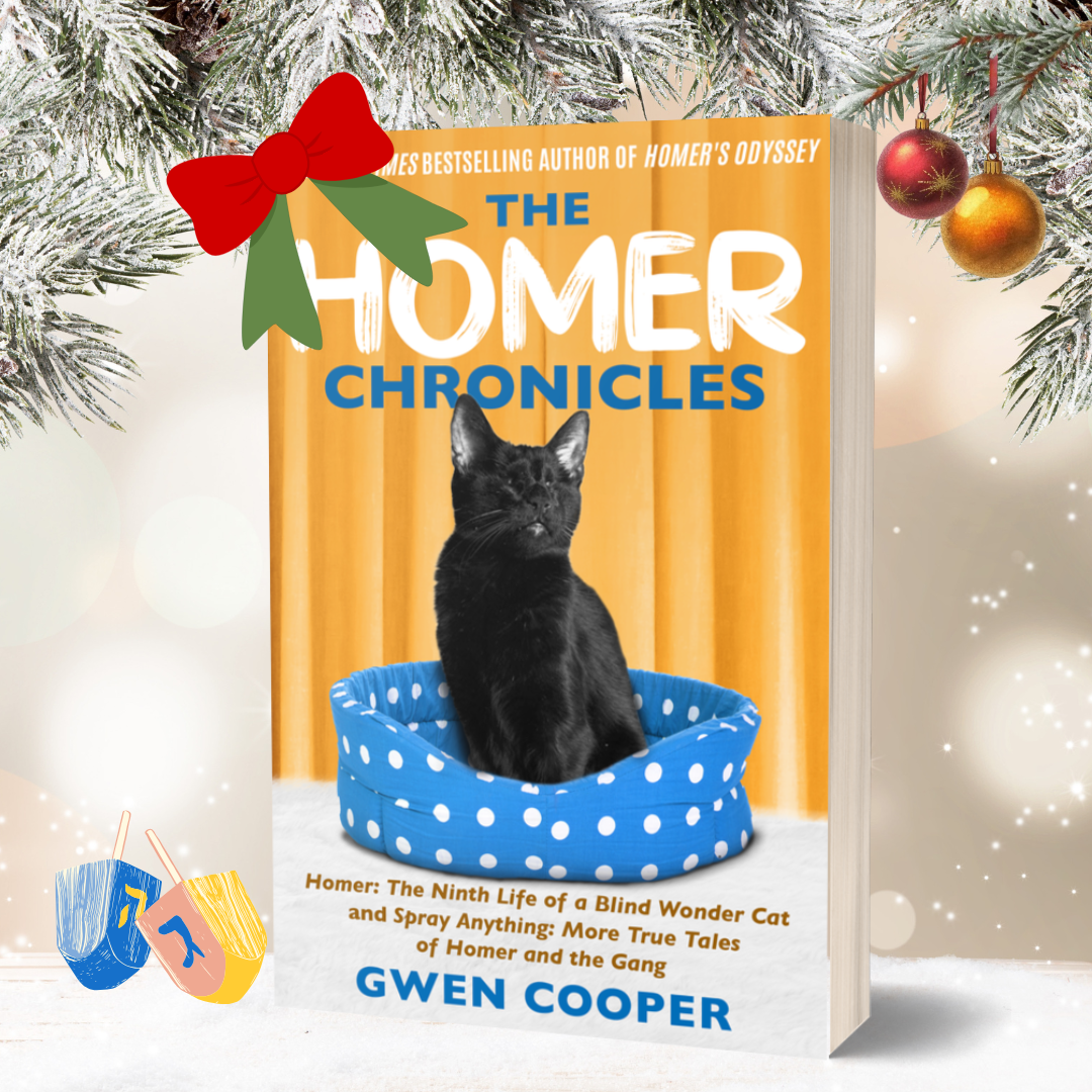 The HOMER Chronicles (Homer Books #2 and #3)